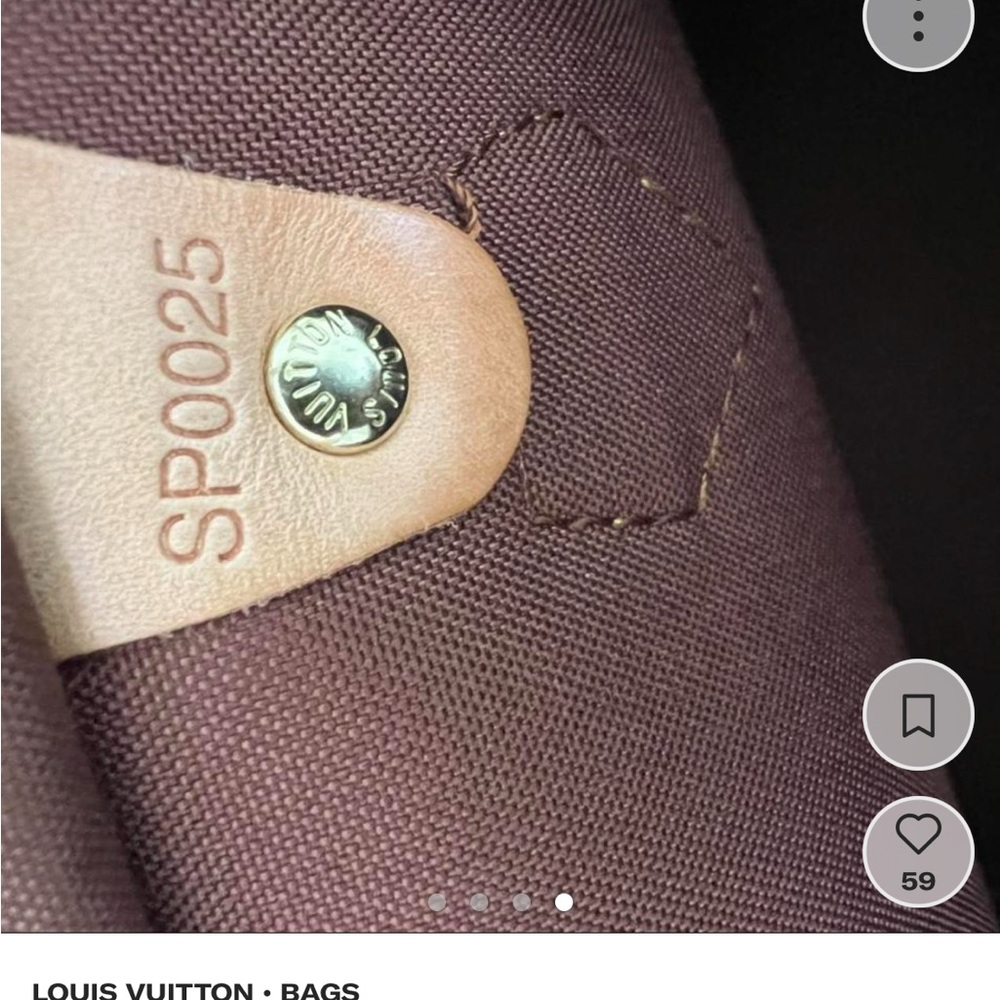 Louis Vuitton Deep Maroon Bag